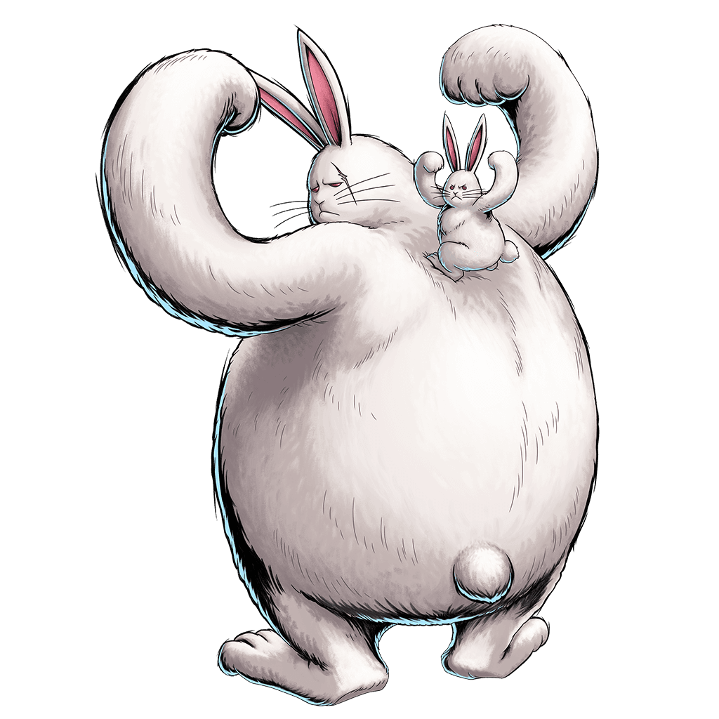 Drum Island Lapin